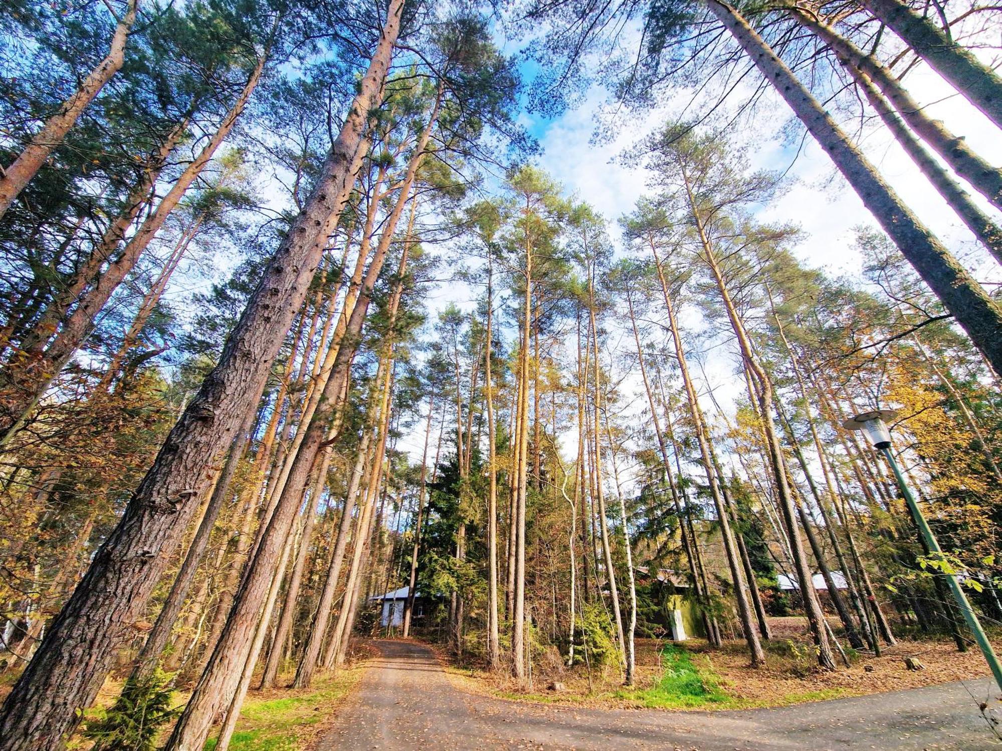 Bungalow Direkt Am See, Mit Eigenem Boot Roding Exteriör bild